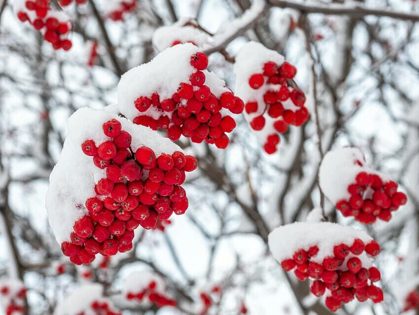 Операция "Дуэт" или как найти невесту в городе. Часть 7. Первый снег и необычное место.