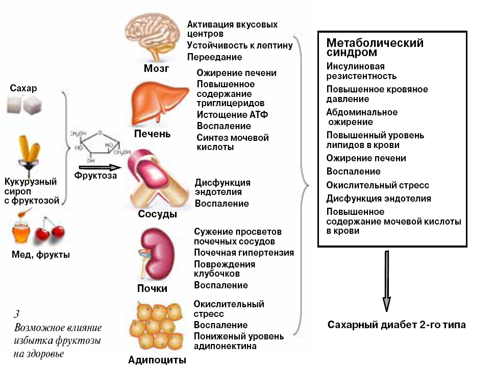 Может ли фруктозный сироп понижать интеллект?