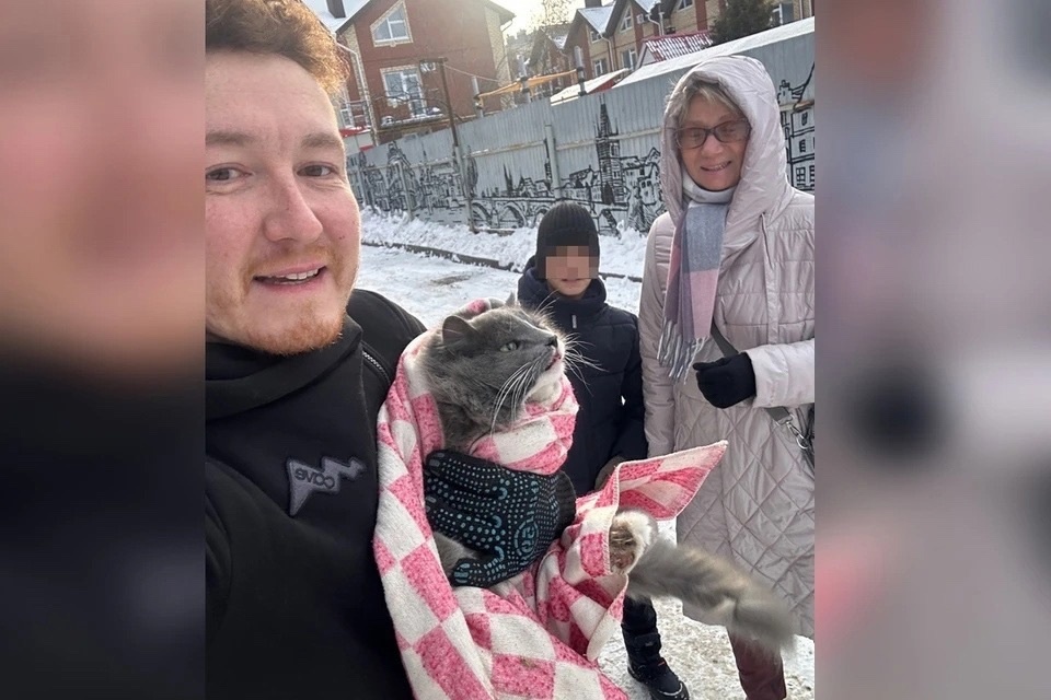 Скрывающегося кота, ставшего предпринимателем, из Перми обнаружили под автомобилем.