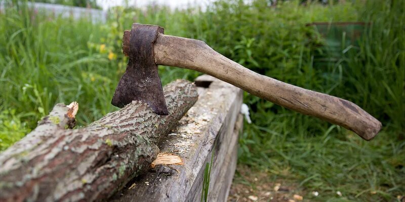 Новый Раскольников - в Подмосковье ребенок зарубил мать топором (6.11.2024)