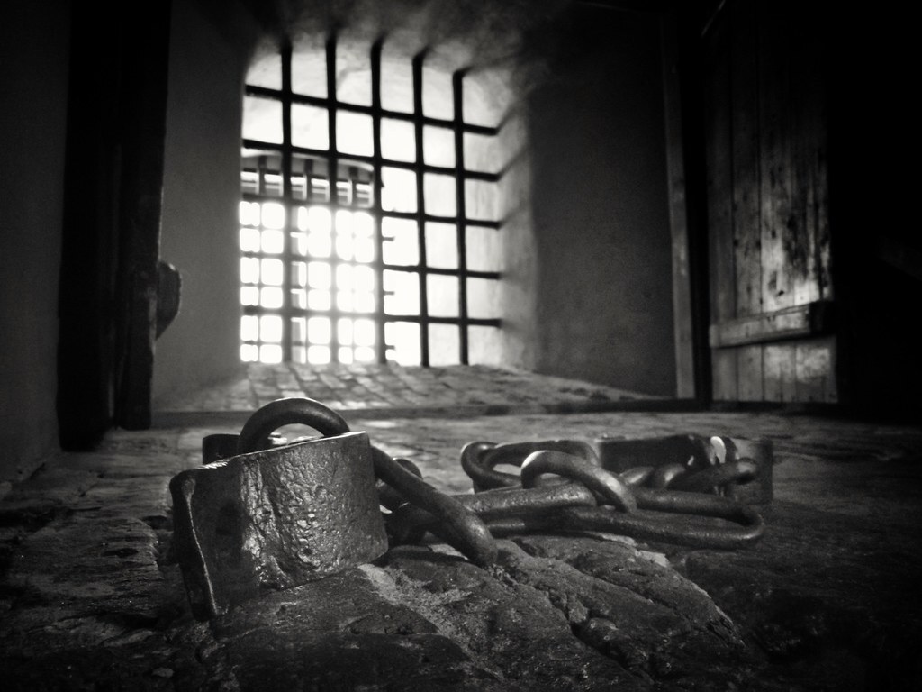 Крысолов "Глава шестая"