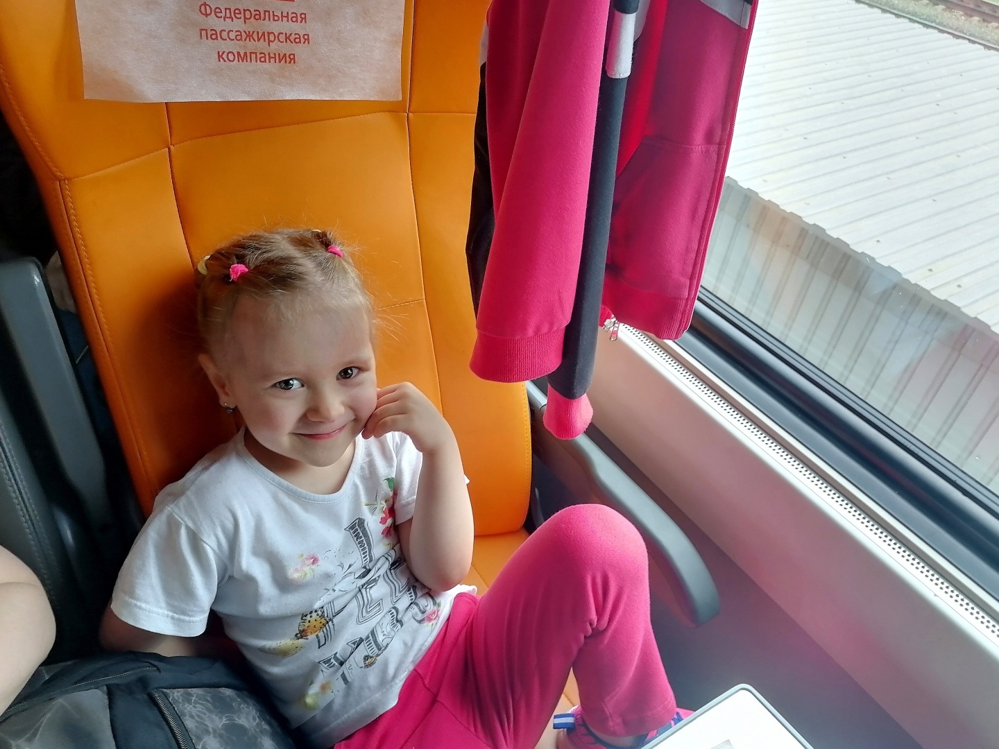 Уже с 1 декабря! Билеты на ж/д поезда в России резко подорожают на почти на 12%