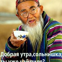 Доктор Ватсон, г. Омск