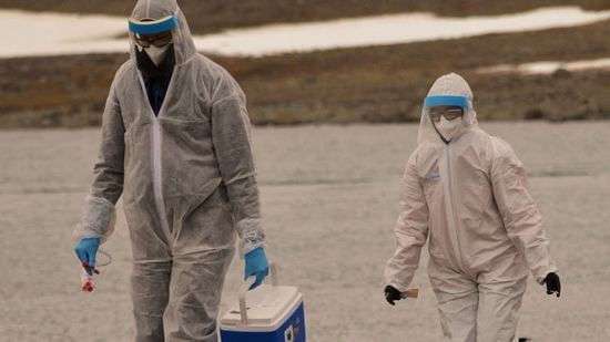 Редкий случай птичьего гриппа H5 у человека в Британской Колумбии. Что известно?