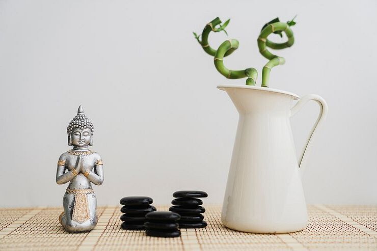 Как активировать зону богатства по фен шуй для привлечения финансового благополучия