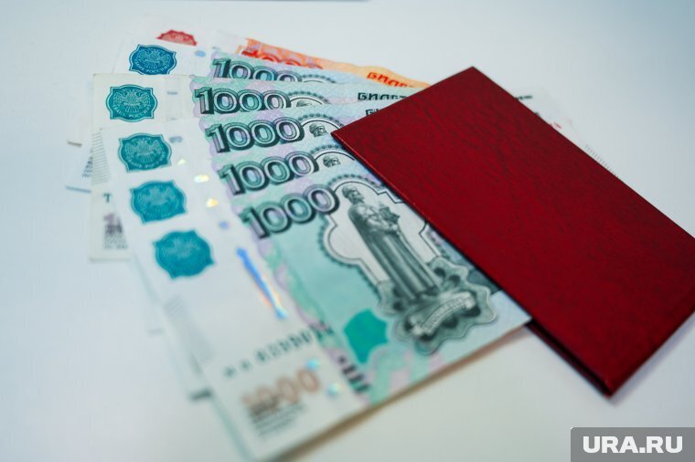 Как рассчитать пенсионный коэффициент и размер будущей пенсии