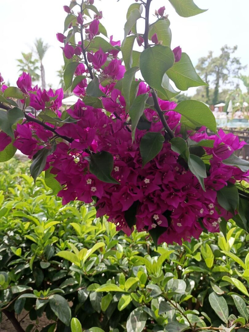 Приключения моих друзей в Турции: путешествие в фотографиях