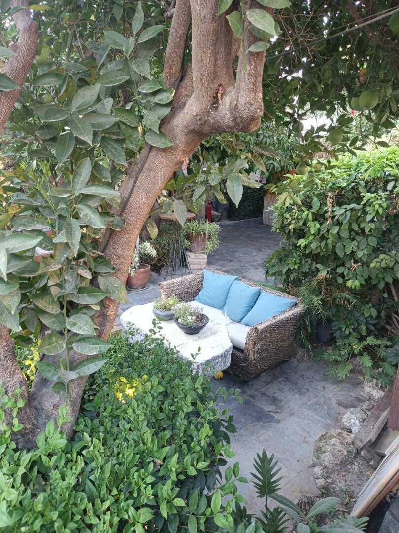 Приключения моих друзей в Турции: путешествие в фотографиях