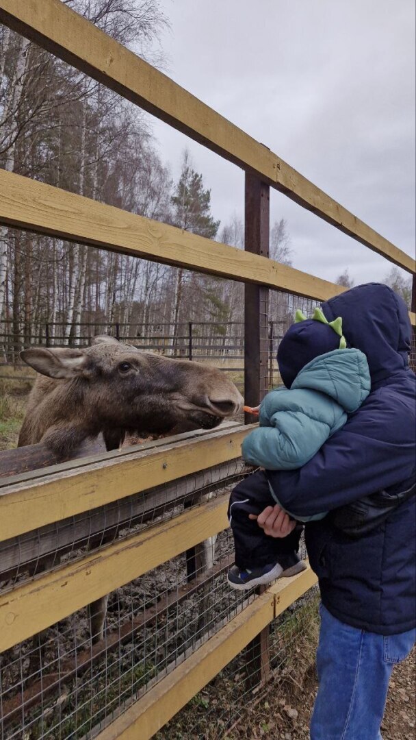 А почему бы нам не съездить в лосиную биостанцию?