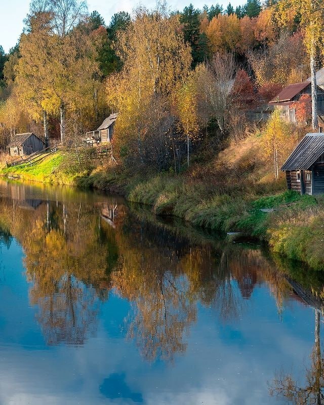 Реку Оять вы встретите, куда бы не пошли в Вепсском лесу!