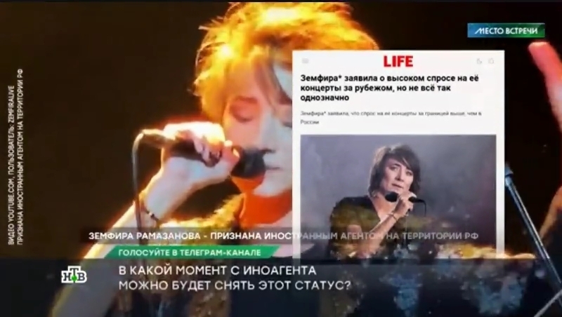 Как бы Вы проголосовали об иноагентах? В какой момент с иноагента можно будет снять этот статус?