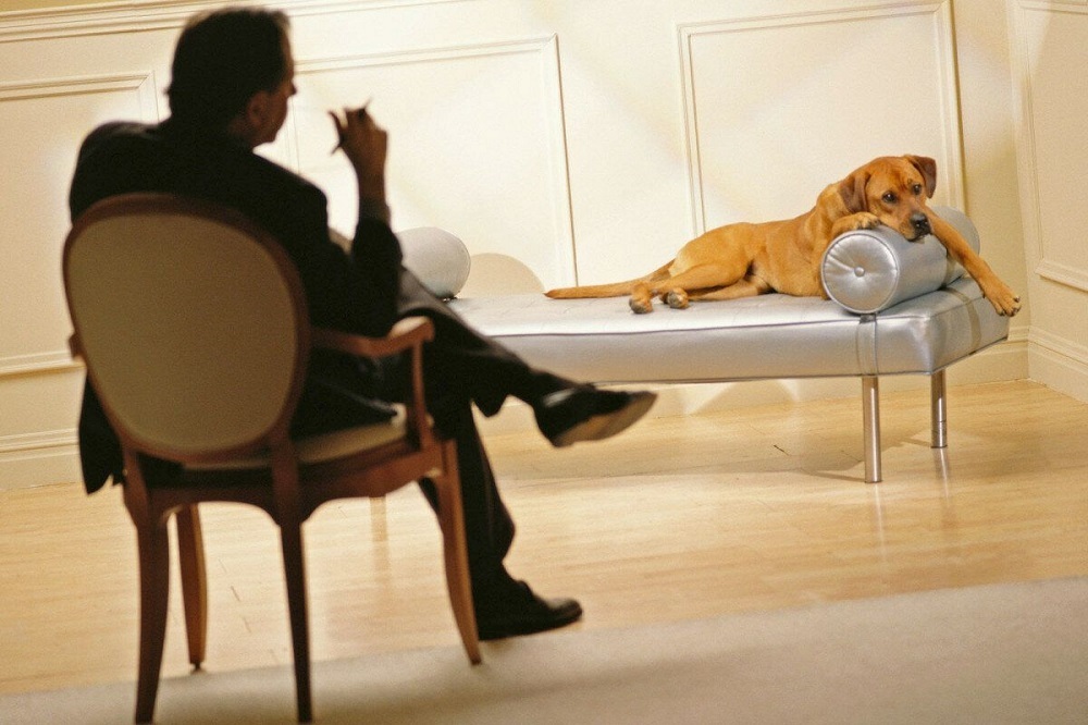 Шесть вопросов зоопсихологу