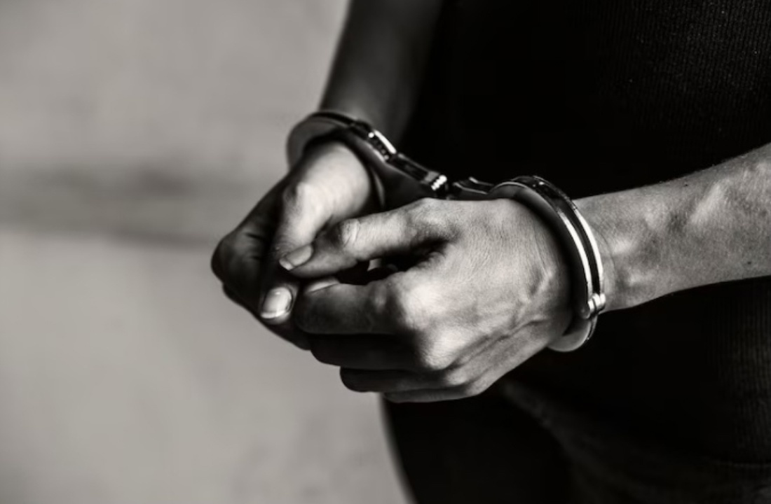 Работала целая банда? В Москве задержан еще один фигурант по делу Ларисы Долиной