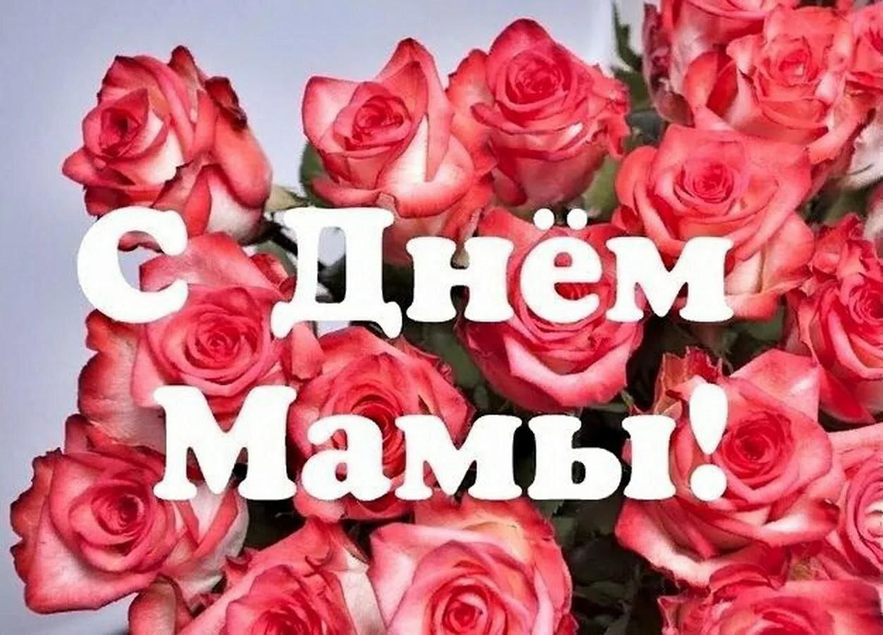 🌸 День матери: время выразить заботу и защиту близких!