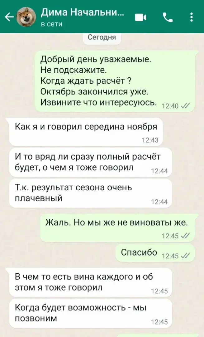 Новая реально, ну вы сами виноваты, что зп не получите