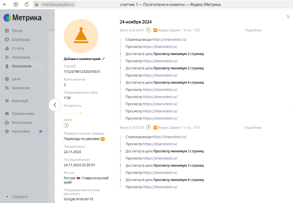 Как внешние силы влияют на слив бюджета в Яндекс Метрике при оплате за конверсии