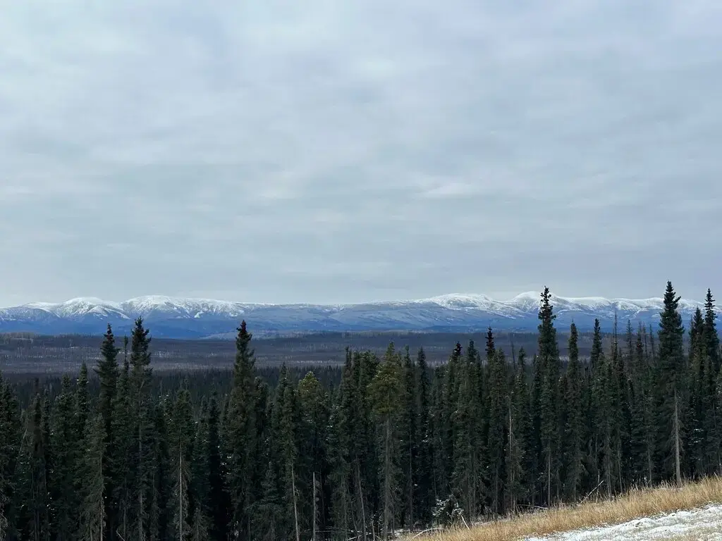 Турист выжил в канадской глуши на протяжении 50 дней