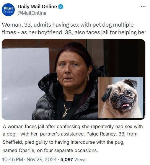 Шокирующее дело: зачем британка вовлекла своего мопса в преступление?