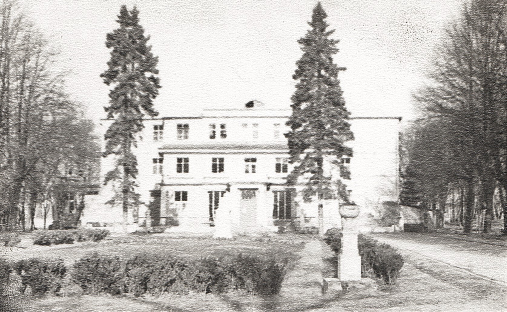 Новогодняя сказка. «МЫШЬ ГОДА»./ 2022 год / Вне конкурсов*/