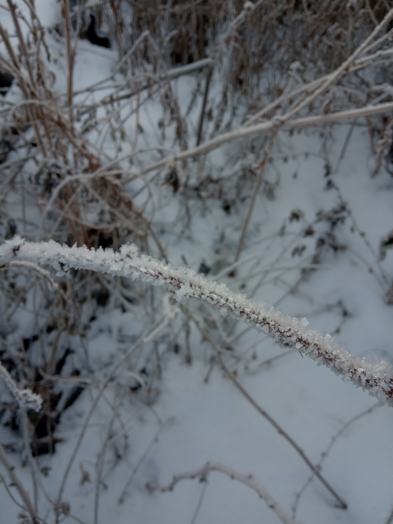Поэзия замерзающего тумана или необычайные эффекты зимы