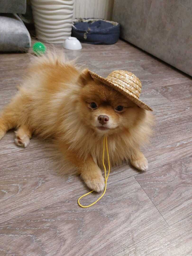 А Вам кто больше понравился ?