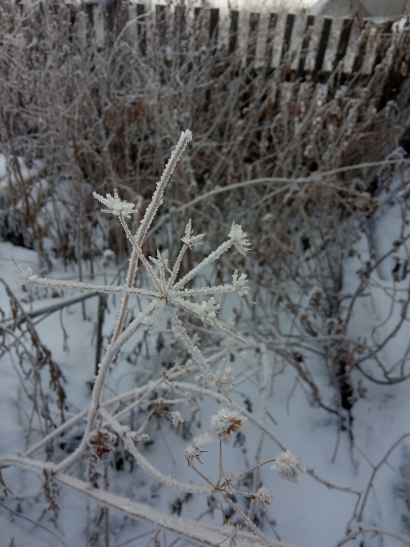 Поэзия замерзающего тумана или необычайные эффекты зимы