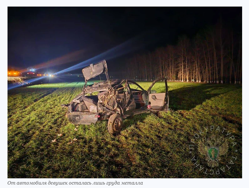 Вот это, да! Говорят, что в Татарстане аварию, в которой погибли пять девушек, спровоцировала чёрная кошка! 😱