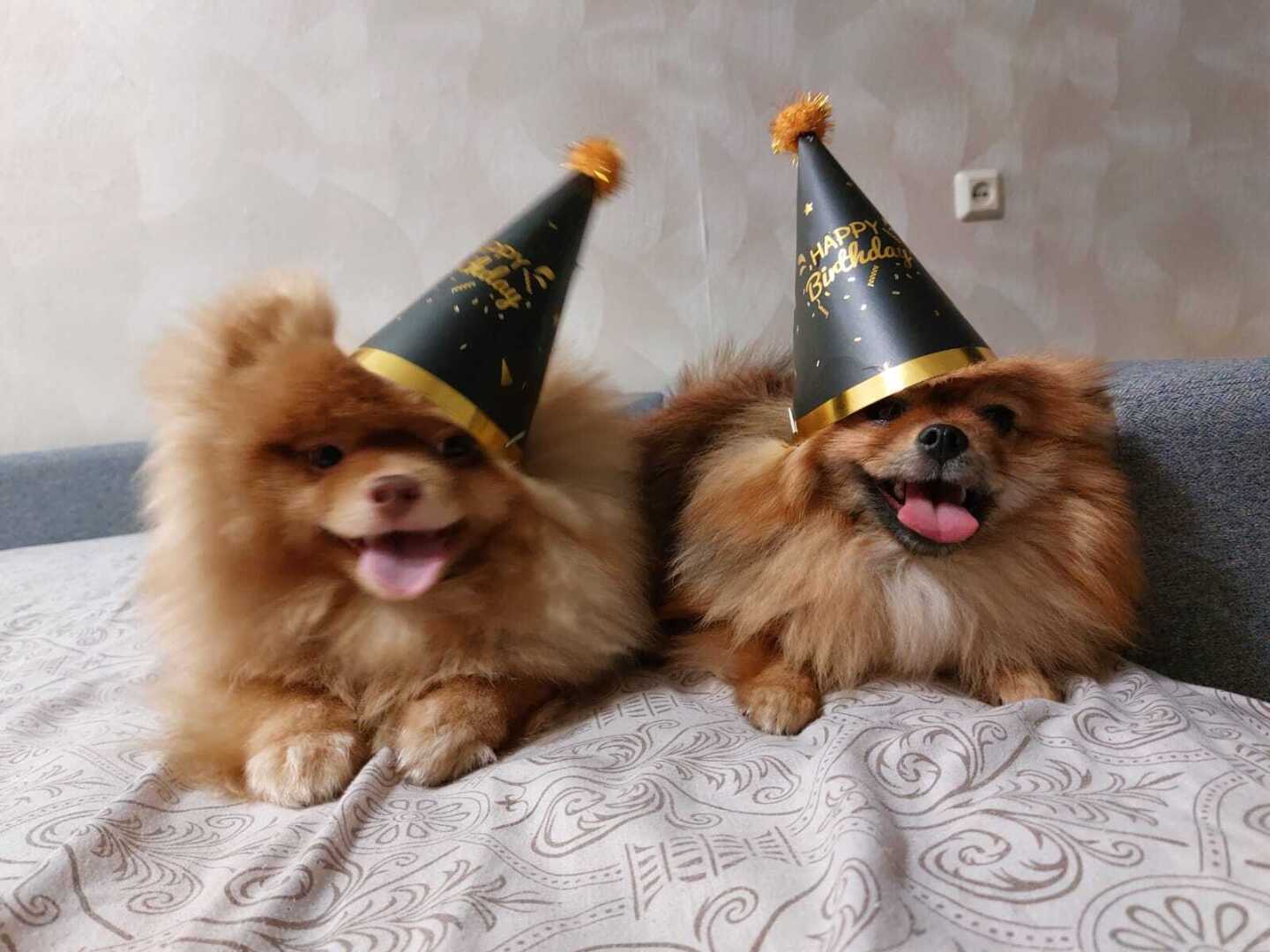 А Вам кто больше понравился ?