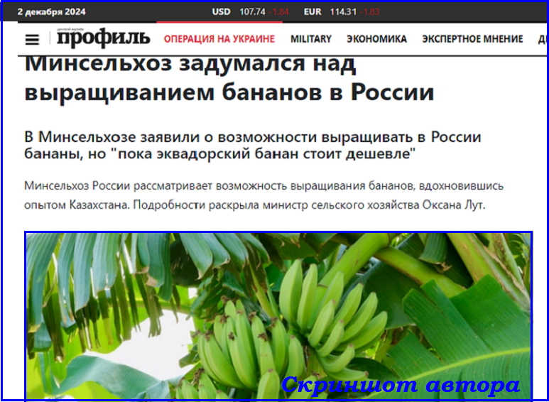 ☝️ По велению властей ждём БАНАН🍌новых вестей👀