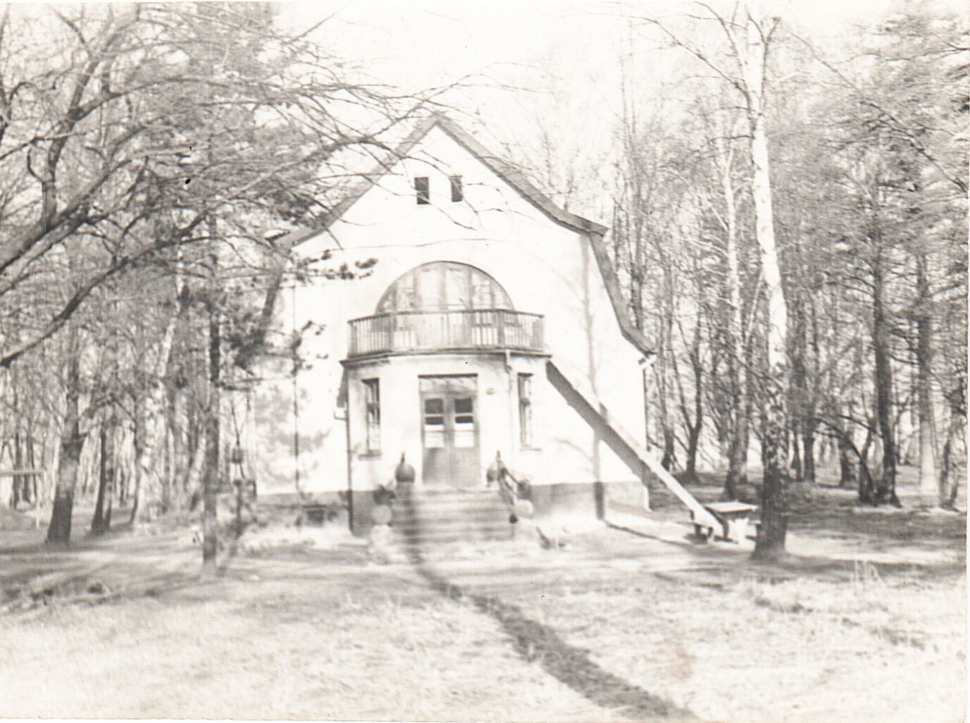 Новогодняя сказка. «МЫШЬ ГОДА»./ 2022 год / Вне конкурсов*/