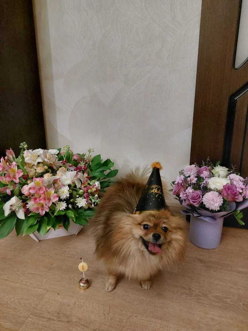 А Вам кто больше понравился ?