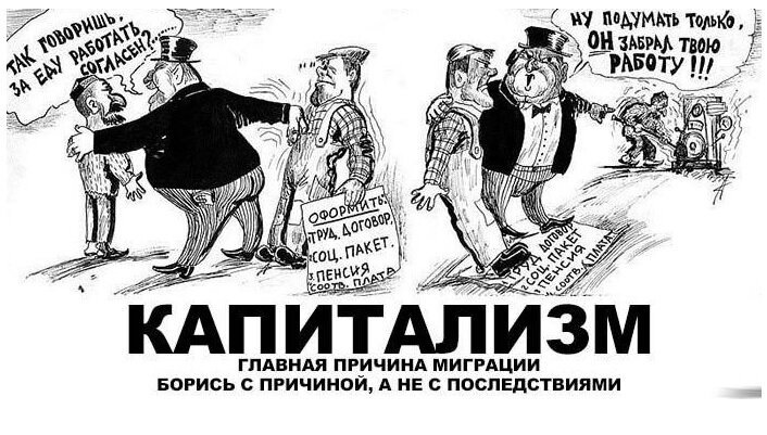 И таки это снова Хвостатый графоман, или на чем мы с Гарпией экономим перед новогодними праздниками