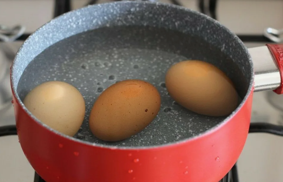 Органический чай: экономия воды и подкормка для ваших растений