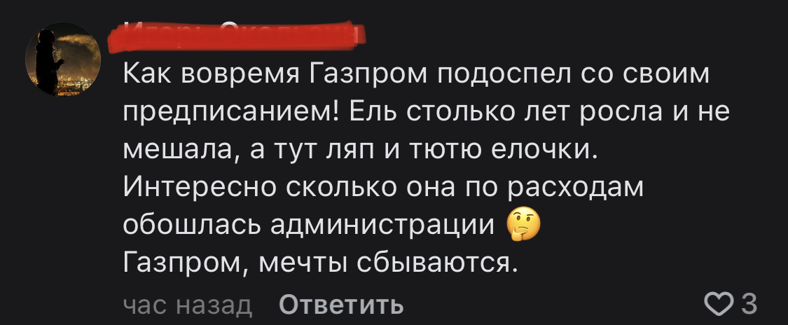 «Украли елку?» Жительница Уфы обвинила чиновников в краже 30-летней елки с участка. Кто виноват?