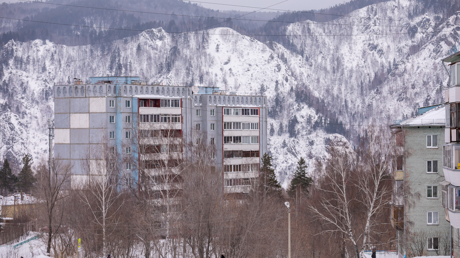 И таки это снова Хвостатый графоман, или на чем мы с Гарпией экономим перед новогодними праздниками