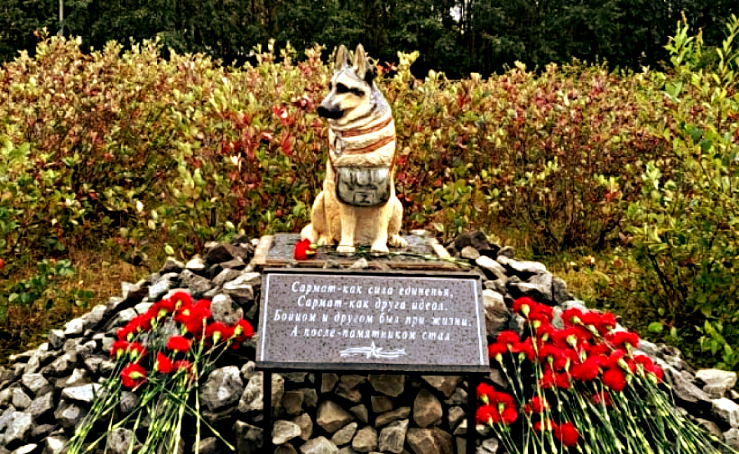 Современные хвостатые герои