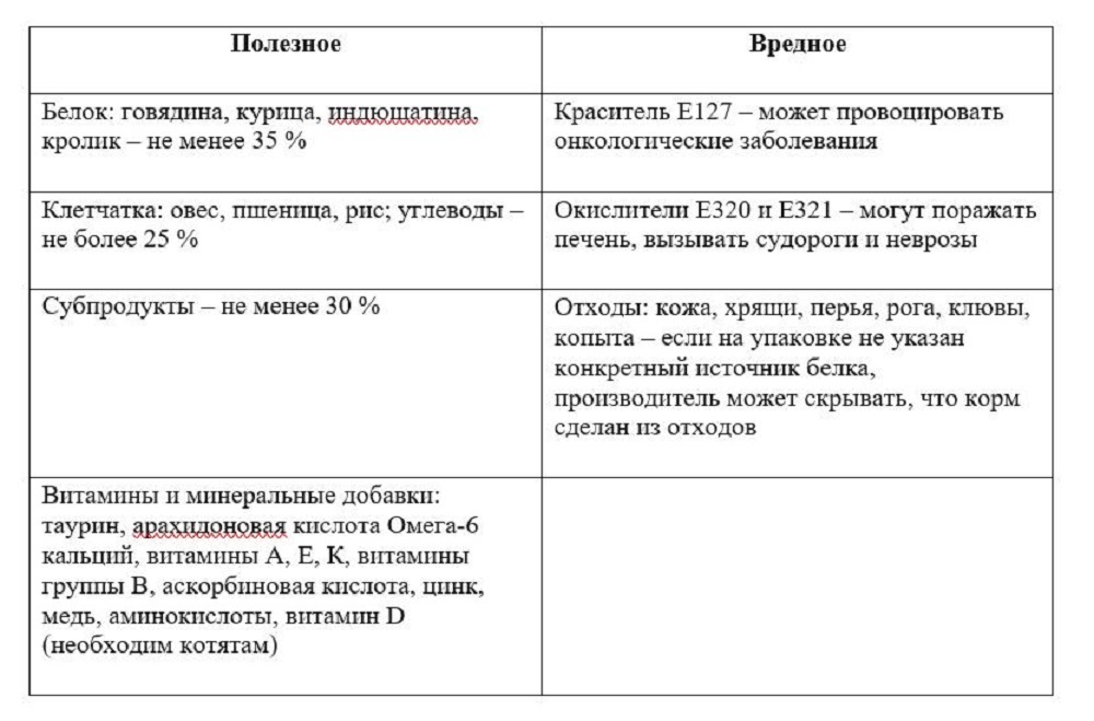 Какой корм выбрать для кошки или как приготовить самому