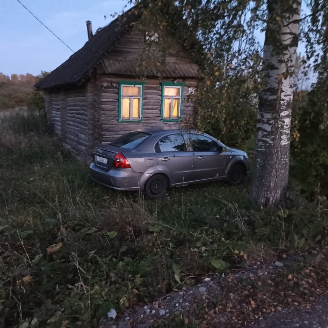 Выгодно растить свои овощи или нет - каждый решает сам