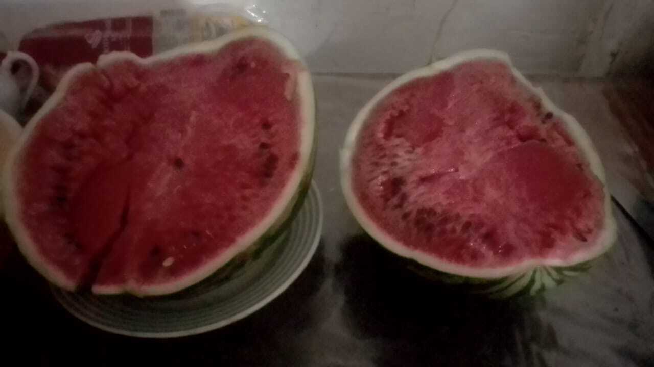 Да я детей не для денег заводил, но это существенная помощь для нашей семьи