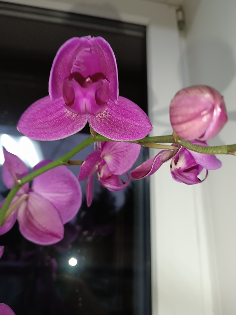 О стихотворном конкурсе -1/Из цикла «Мели Емеля — твоя неделя».