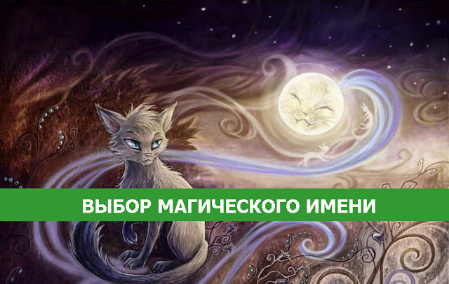 "Магия" имени