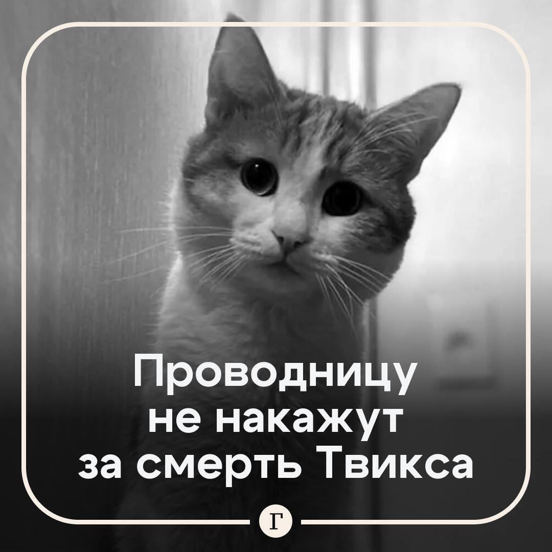 Умер кот