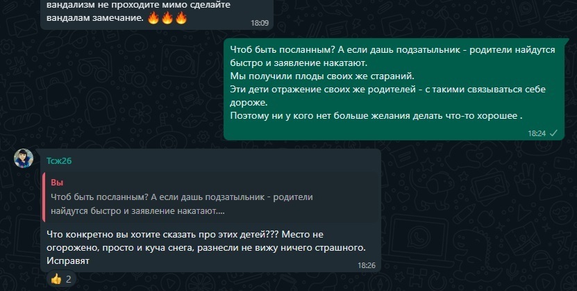 Разрушают, матерятся и прилюдно...