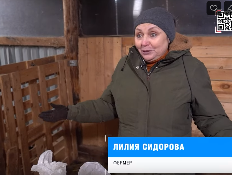 В пух и прах: в подушках 15 известных брендов эксперты не нашли ни пуха ни пера