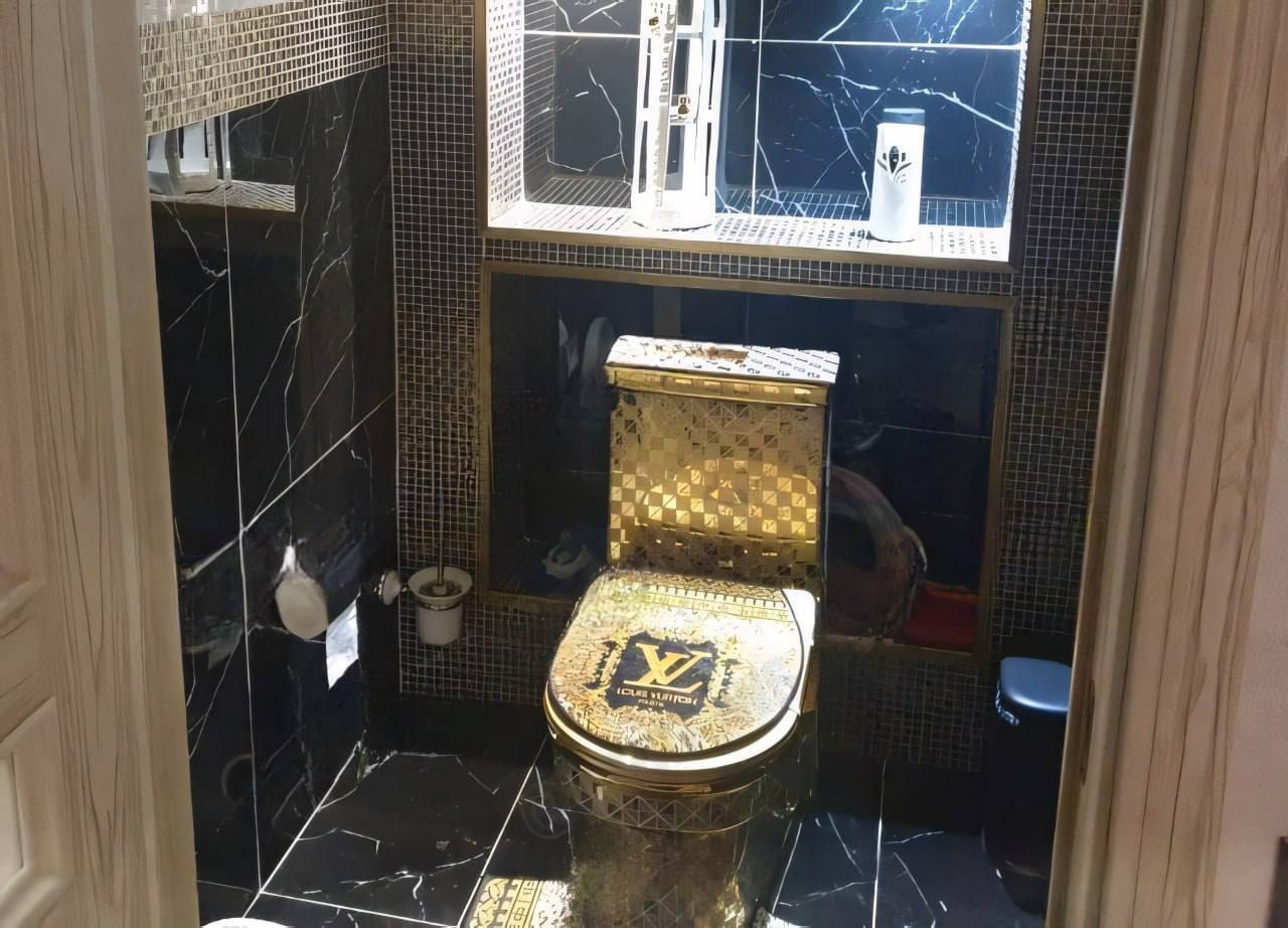 Вместо нового асфальта купил золотой унитаз