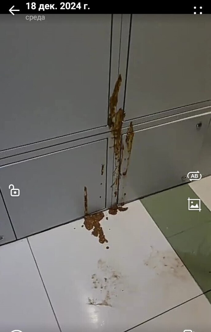 Мои размышления о человеческом свинстве или «сюрприз» не для слабонервных