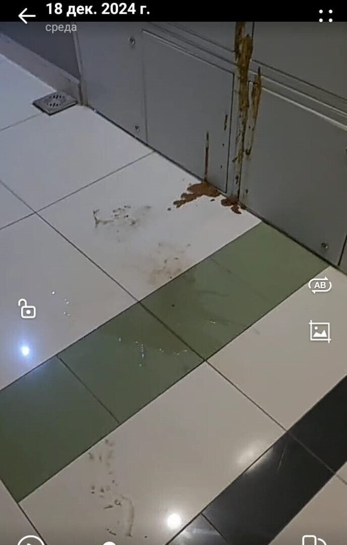 Мои размышления о человеческом свинстве или «сюрприз» не для слабонервных