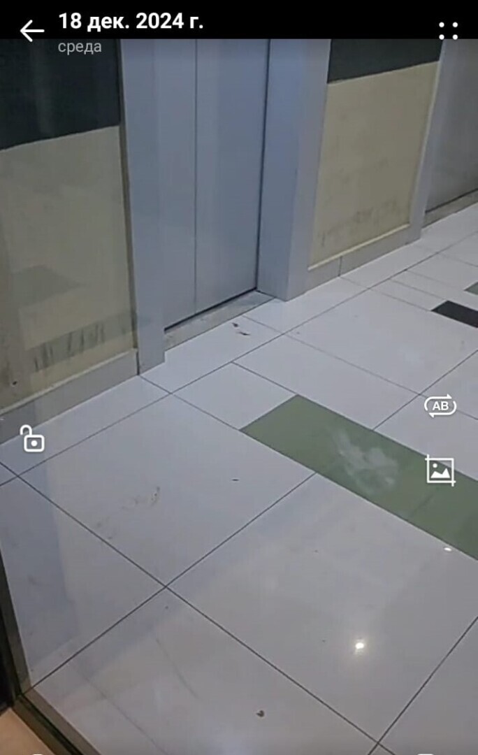 Мои размышления о человеческом свинстве или «сюрприз» не для слабонервных