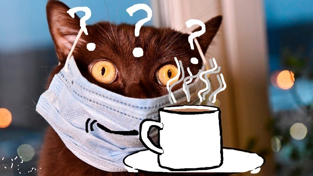 И таки разве нет более интересных тем, или Хвостатый снова вопрошает