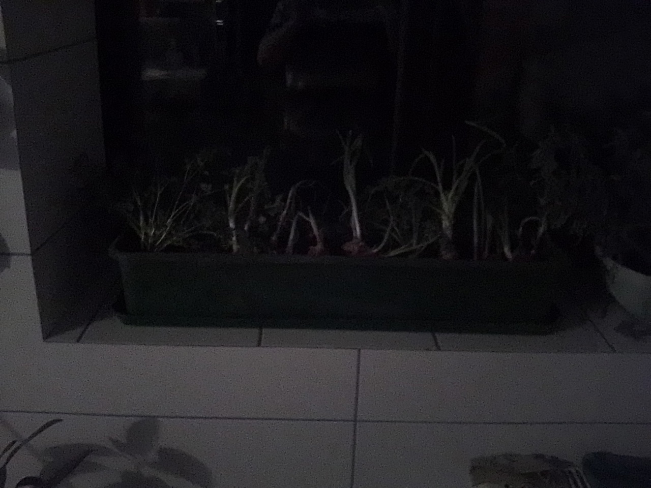 Ключевая ставка, инфляция и несколько советов, чтобы наши дети не попали в 90-тые, как мы тридцать лет тому назад